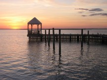 483243_10151297577624202_772132617_n